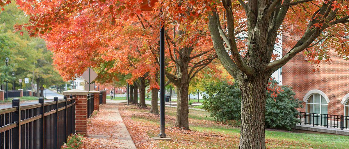 Campus Beauty